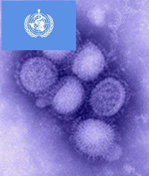 H1N1 INFLUENZA VIRUS