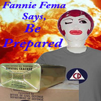 Fannie-FEMA-zaz