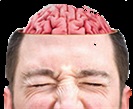brain2